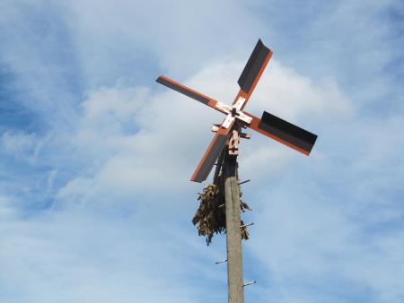 Člani TND Razkrižje obdelujejo vinograd v Šprincu 16
